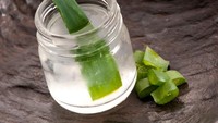 Gel lidah buaya bertekstur lengket, tapi karena sifat inilah lidah buaya cocok sebagai pelumas seks. Mau coba? Foto: Getty Images