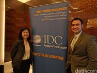 Hampir 90% Pengguna Internet RI Malas Belanja Online