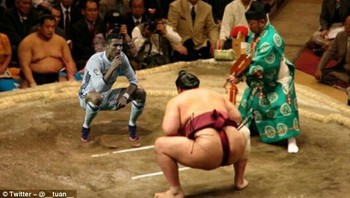 Bertanding sumo. Foto: Istimewa