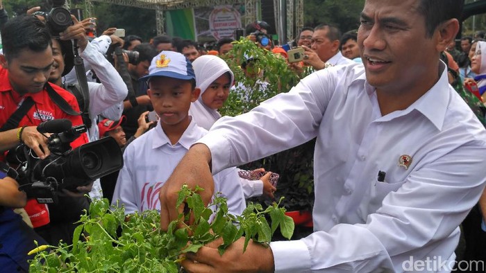 Menteri Pertanian Amran Sulaiman mencanangkan gerakan menanam 50 juta cabai