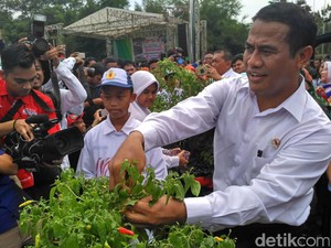 Lagi, Mentan Bagikan 500 Ribu Bibit Cabai untuk Lampung