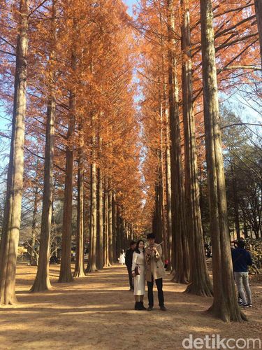 Belajar dariI Eksotika Nami <i>Island</i>