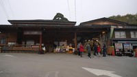 Wisata petik apel tak hanya bisa dilakukan di Indonesia. Di Jepang pun bisa tepatnya di Matsui Farm, Kota Komoro, Prefektur Nagano (Kurnia/detikTravel)