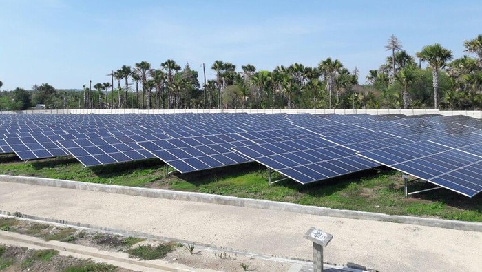 PLN: Kami Heran Listrik dari Matahari di Arab Hanya Rp 390/kWh