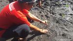 Belajar Peduli Lingkungan di Hutan Mangrove Bahowo, Manado