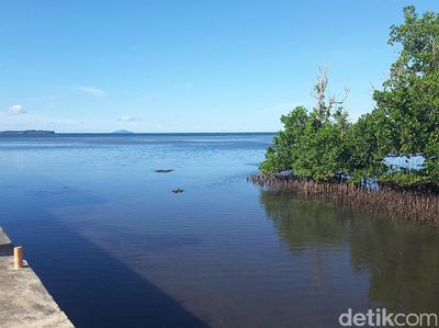 Belajar Peduli Lingkungan di Hutan Mangrove Bahowo, Manado