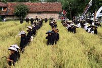 Pelajaran berbasis praktik 