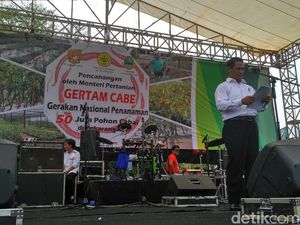 Mentan: Banjir Tak akan Ganggu Produksi Beras