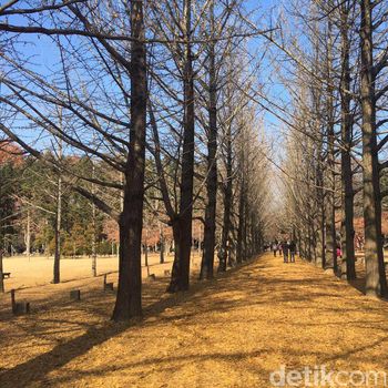 Belajar dariI Eksotika Nami <i>Island</i>