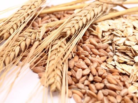 5 Jenis Diet yang Jadi Tren Sepanjang 2016