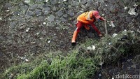Seorang petugas mencabuti rumput di Kanal Banjir Timur (KBT).