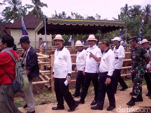1.000 Anak Sapi Hasil Inseminasi Buatan Dipanen di Bali