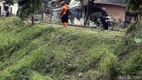 Seorang petugas memotong rumput menggunakan mesin.