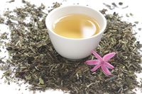 Wah, 10 Minuman Ini Bisa Bantu Melangsingkan Tubuh Anda!