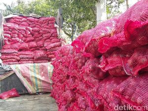 Bawang Merah Palsu yang Masuk RI dari India