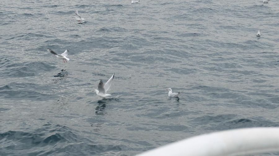 Berlayar Naik Kapal Pesiar Membelah 2 Benua Asia Eropa Foto 11