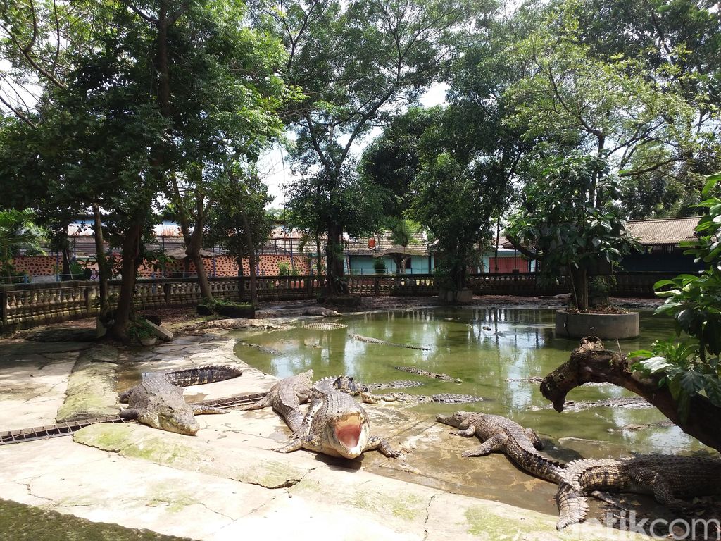 Taman Buaya di Bekasi
