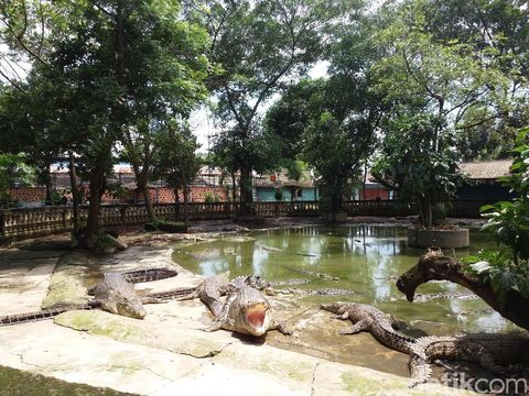 Taman Buaya di Bekasi