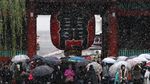 Jepang Bersalju Lebih Awal Sejak 54 Tahun Terakhir
