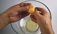 Kuning Telur Tak Perlu Disisihkan, Sebaiknya Dikonsumsi Bersama Putihnya, Ini Alasannya