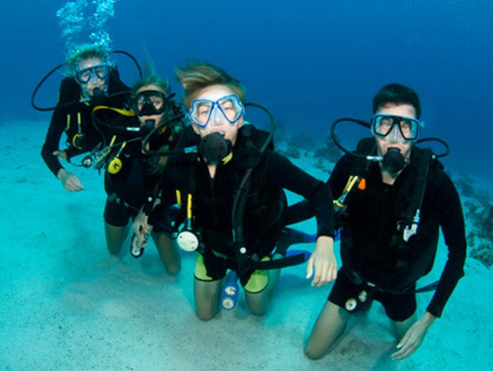 Olahraga Diving