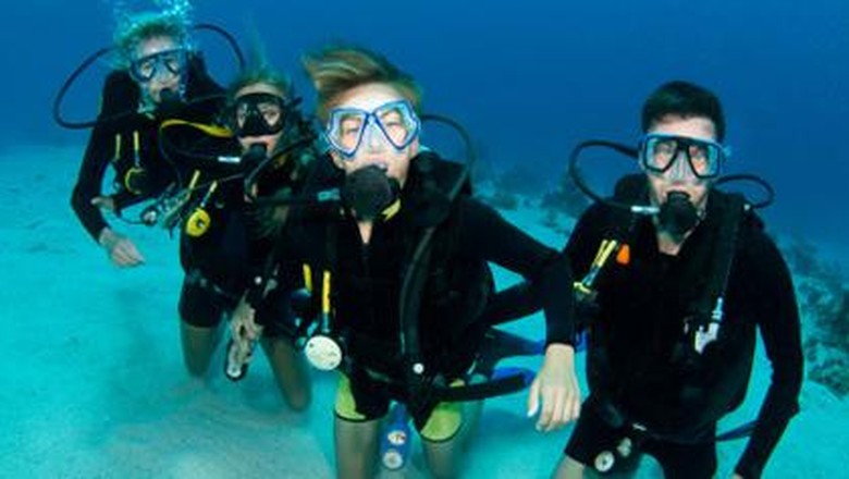 Ilustrasi Diving Olahraga Diving