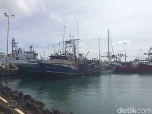 Tolak Moratorium, Dubes RI di Panama: Permintaan ABK RI Tinggi