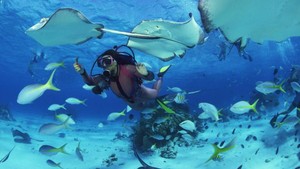 Bukan Bawah Laut Biasa