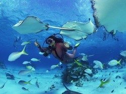 Bukan Bawah Laut Biasa