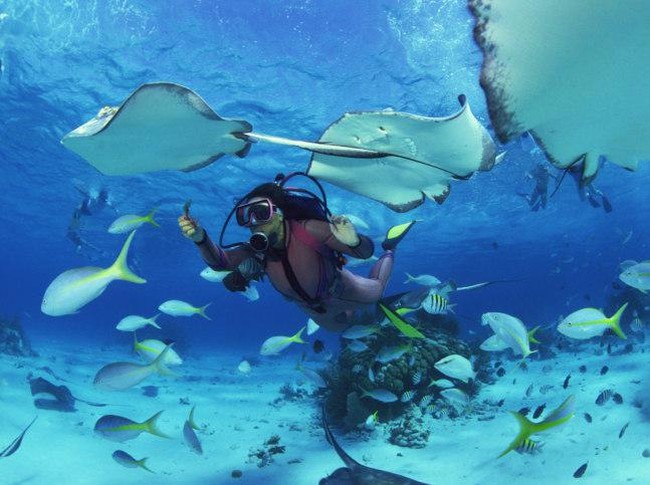 Bukan Bawah Laut Biasa