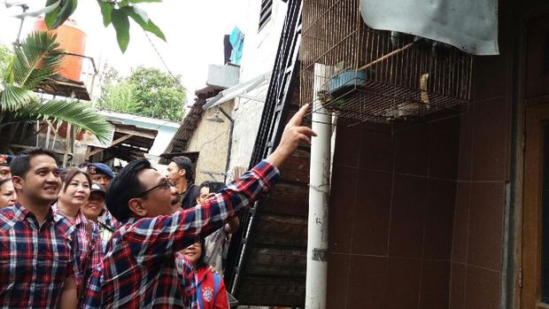 Blusukan ke Slipi, Djarot Terkesan dengan Pengelolaan Sampah Warga