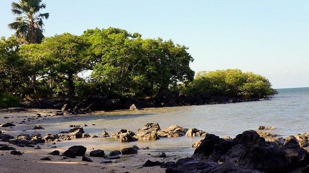 Pantai di Baluran