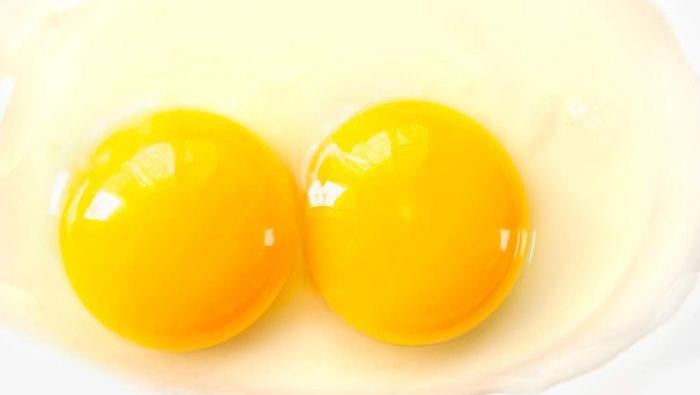 manfaat kuning telur
