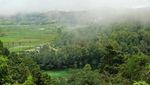 Potret Desa Wisata Tertinggi di Pulau Jawa