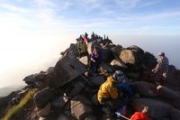 Gunung Arjuno yang mempesona.