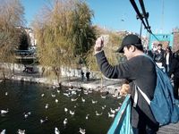 Wisatawan memberi makan angsa dari atas jembatan (Rois/detikTravel)