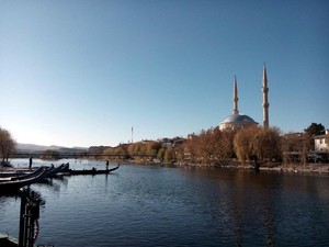 Beri Makan Angsa di Sungai Terpanjang Turki, Tak Pernah Seasyik Ini