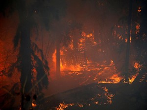 Soal Pembakaran Hutan di Israel, Netanyahu Sebut Pelakunya Teroris