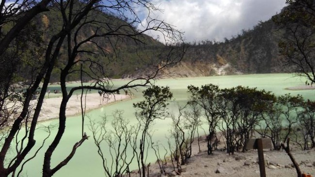 Asyik, Wisata ke Ciwidey Nanti Bisa Naik Kereta Asyik, Wisata ke Ciwidey Nanti Bisa Naik Kereta