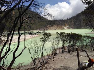 Asyik, Wisata ke Ciwidey Nanti Bisa Naik Kereta