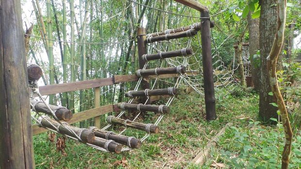 Permainan Outbound untuk anak-anak (Wahyu/detikTravel)