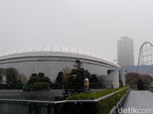 Seperti Ini Tokyo Saat Salju Turun untuk Pertama Kali dalam 54 Tahun di November