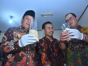 Ada Rumah Kedelai Di Lamongan