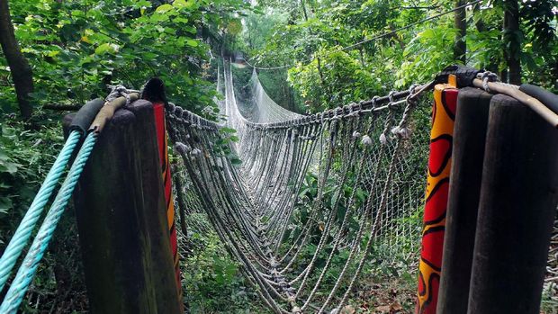 Wahana semacam Flying fox yang bisa dicoba traveler (Wahyu/detikTravel)