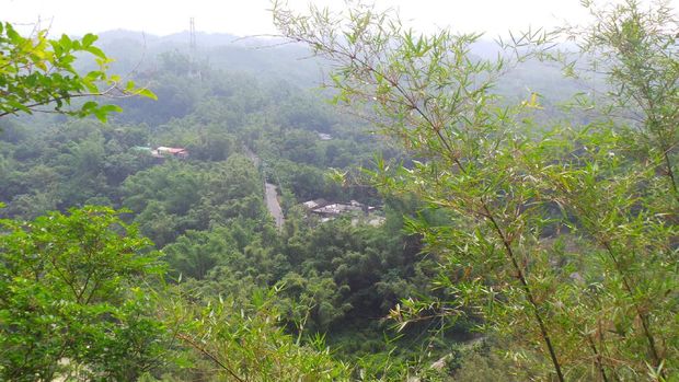 Pemandangan hijau yang ada di menara pandang (Wahyu/detikTravel)