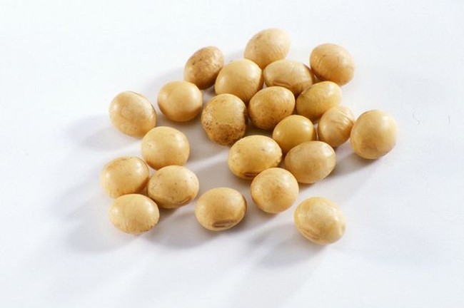 Bukan hanya Ikan Laut, Kedelai dan Flaxseed juga Kaya Omega 3 (1)