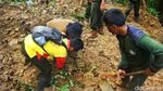 Banjir dan Longsor Landa Beberapa Wilayah di Banyumas