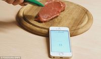 Lewat Alat Pengendus Makanan Ini Bisa Diketahui  Makanan Layak Dimakan atau Tidak