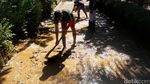 Banjir dan Longsor Landa Beberapa Wilayah di Banyumas