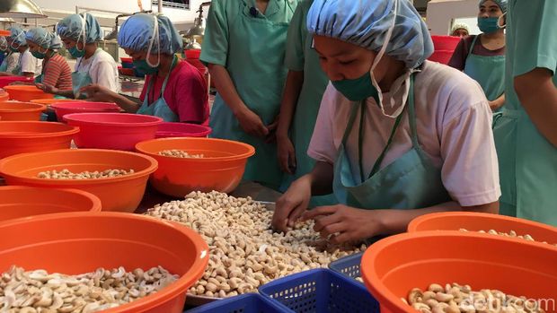 Jokowi kunjungi pabrik kacang mete di Makassar